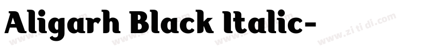 Aligarh Black Italic字体转换
